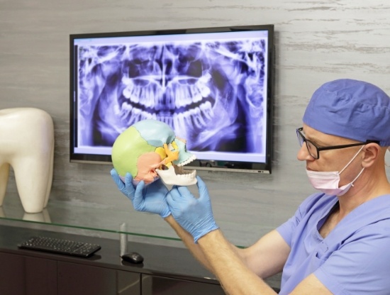 Dentist holding model of skull and pointing to the jaw joints